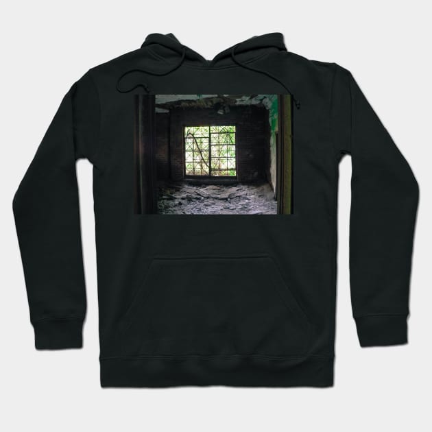 Cross Hatching And Smoothing Surfaces Hoodie by PaulLu